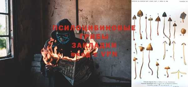 спиды Алексеевка