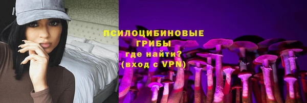 гашик Алексин