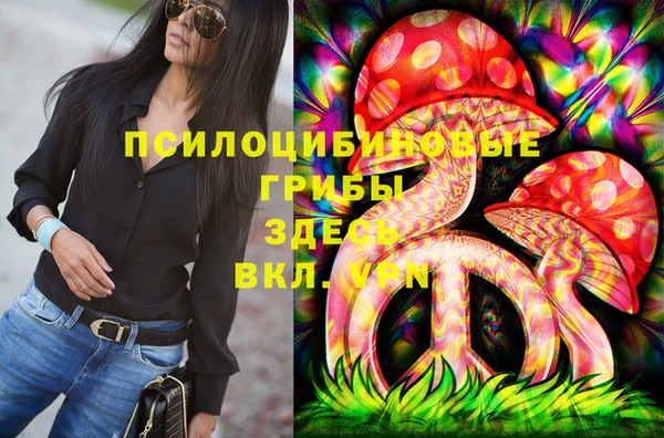 эйфоретик Алзамай