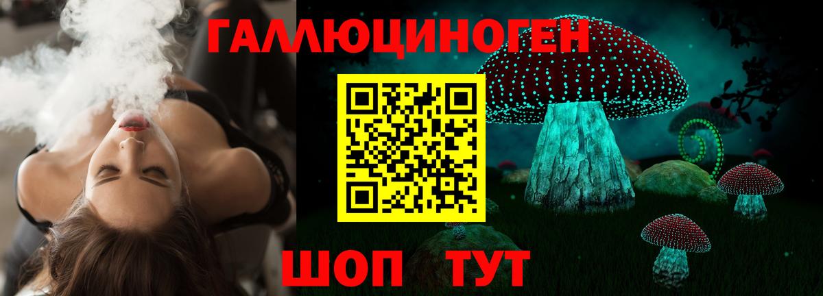 Зеленодольск  Галлюциногенные грибы прущие грибы  Вход с VPN  Галлюциногенные грибы Psilocybine cubensis 